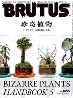 BRUTUS (ブルータス)